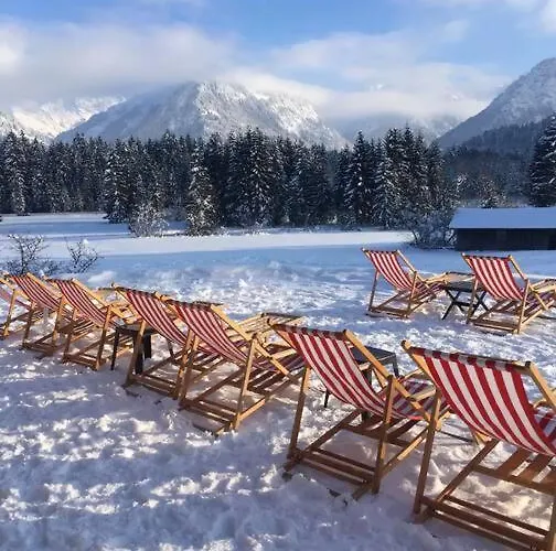 Gruenes Stueble Allgaeuer Alpen Sonthofen