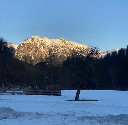 Appartement Gruenes Stueble Allgaeuer Alpen Sonthofen