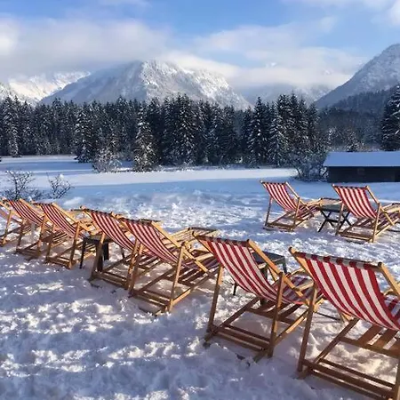 Gruenes Stueble Allgaeuer Alpen Sonthofen