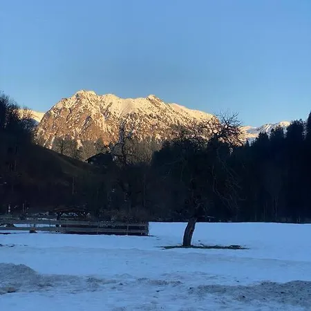 Daire Gruenes Stueble Allgaeuer Alpen Sonthofen
